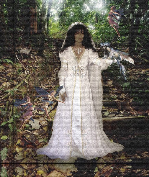 The Fairy Gardens 1a