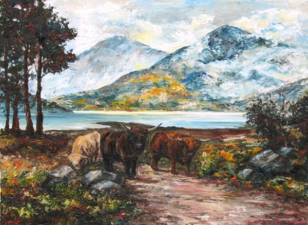 Highland Cows