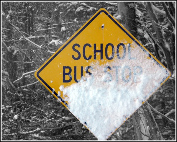 A Sign Of Snow