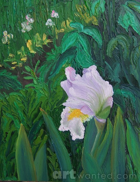 White Iris 