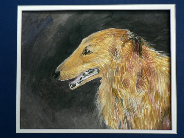 Borzoi Portrait