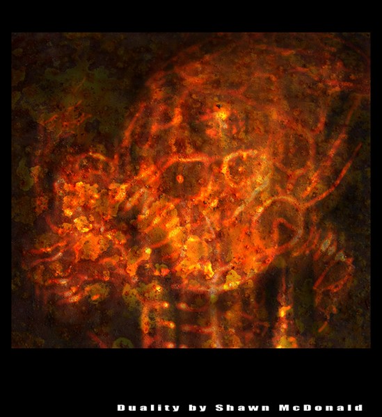 Duality