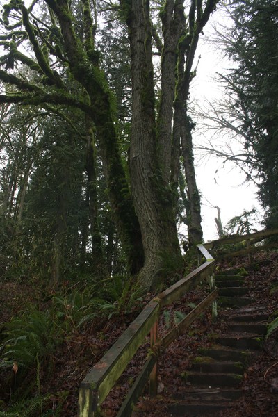Slippery Stairs