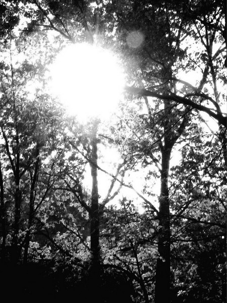 Sun Shines Through.