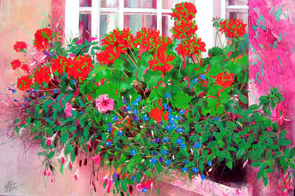Begonia