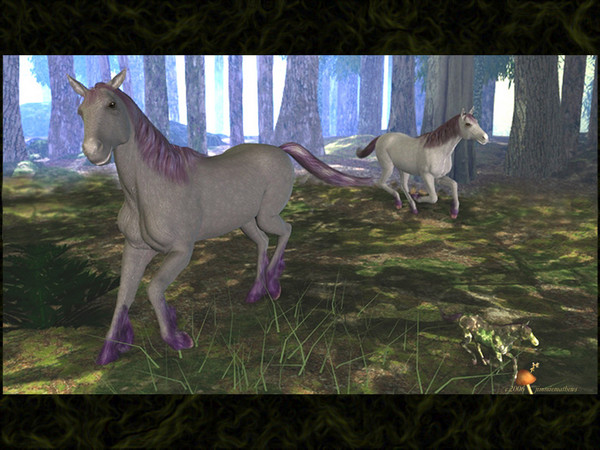 Brenne's Ponies