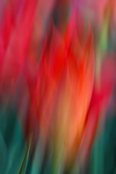 Spring Fling