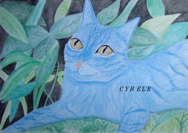 AVATAR CAT