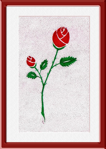 Rosa em botão