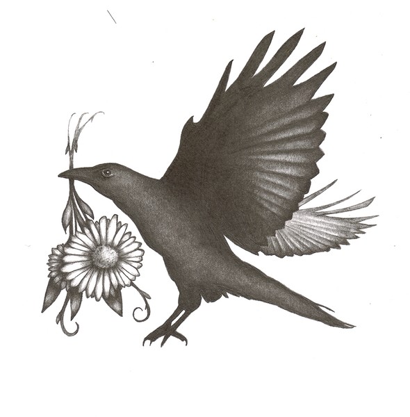 Raven