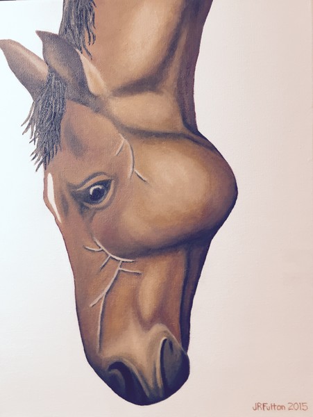Horse with Hanging Head