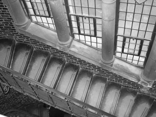 Ivy Leaque Ascension