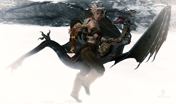 Dragon Run