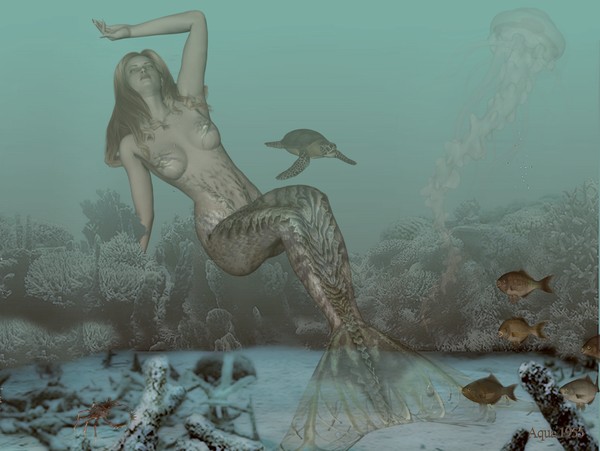 The Reef