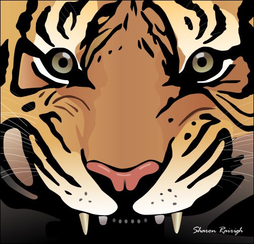 tiger
