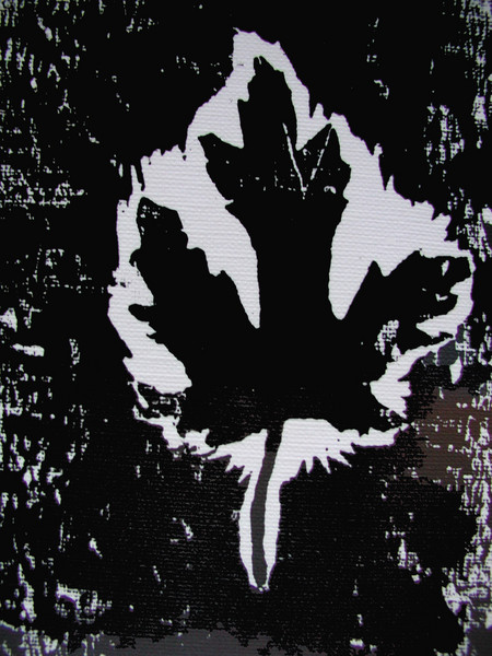 Solitary Leaf