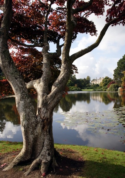 Sheffied Park Garden