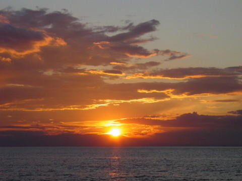 Orange Dream