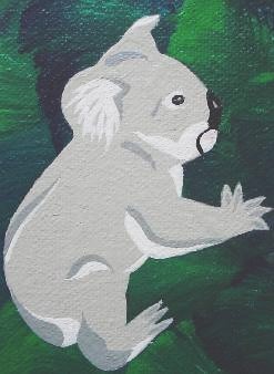 *SHY KOALA*    SOLD