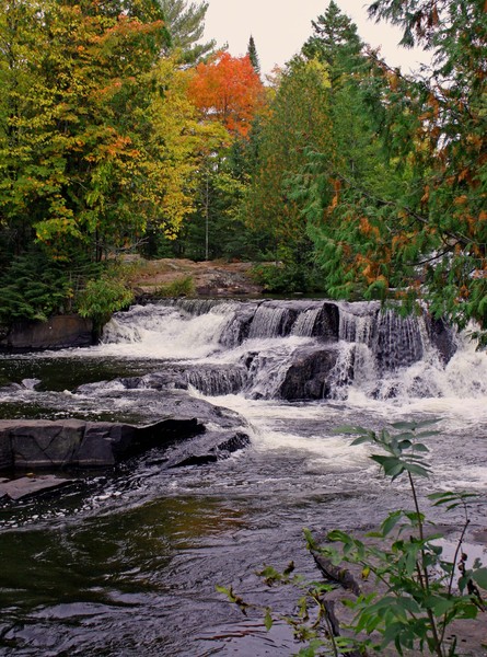 Bond falls