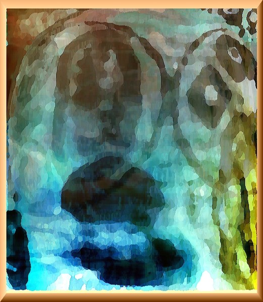 eVILE 29