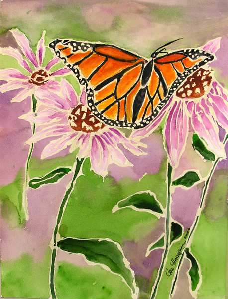 Butterfly