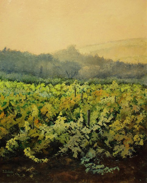 Viñedo en otoño