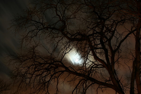 Cloudy Moon