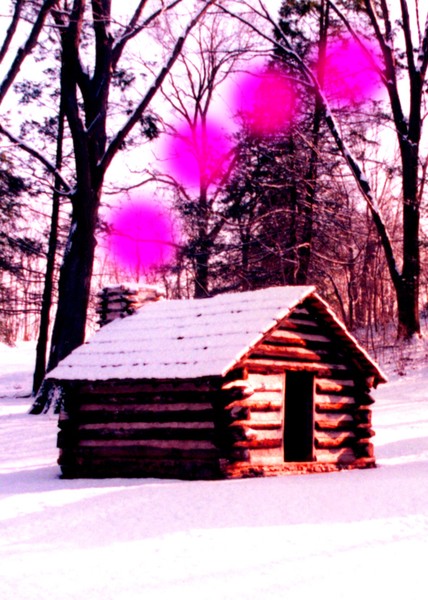 PURPLE WOOD SPIRITS