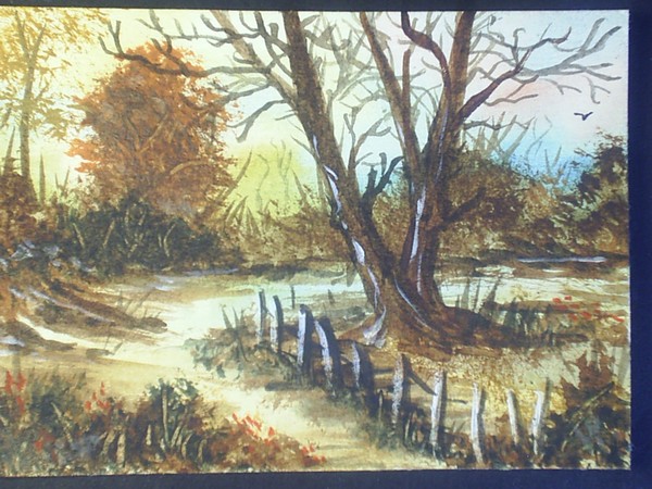woodland walk