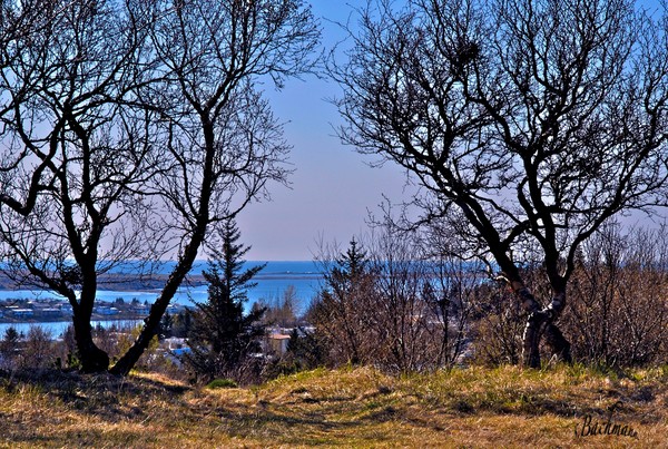 Early spring !