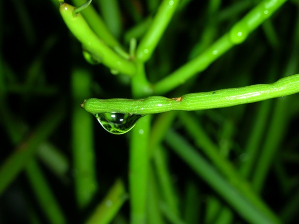 clarity !!