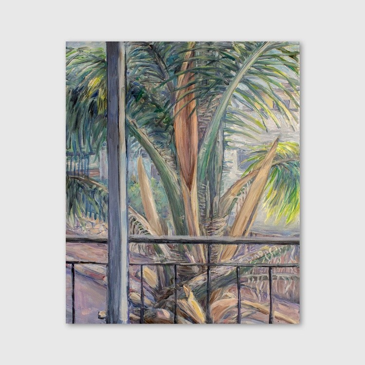 Palm