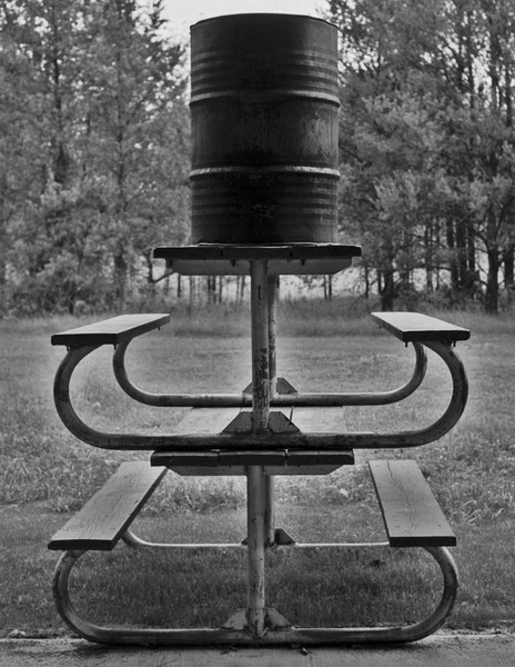 The park sculpture