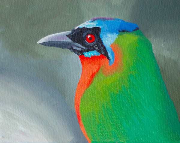 Blue-crowned Motmot