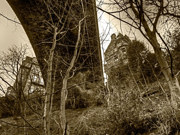Beneath Dean Bridge