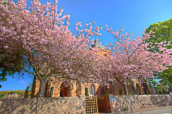 Whitekirk - in pink