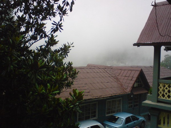 Fogged Homes