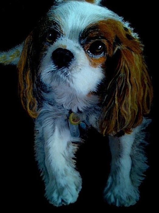 Dudley