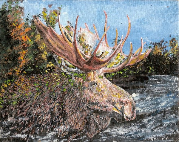 Moose