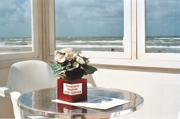 View on the sea