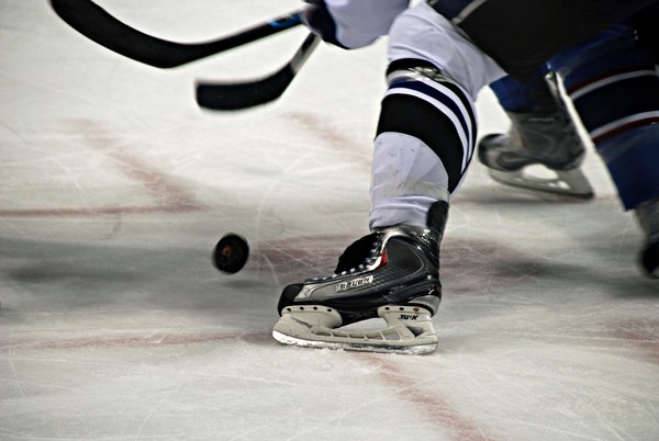 Hockey Fans