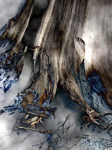 Ancient Roots