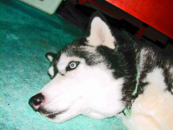 SKYE V