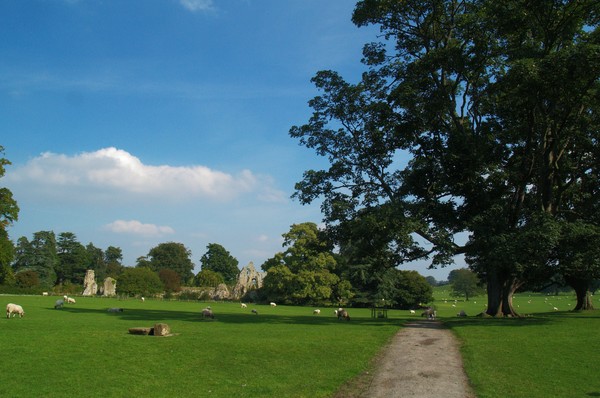 Jervaulx Park