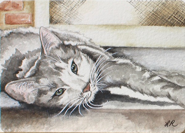 The Doormat Cat