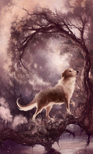 In the Sea of the Sky