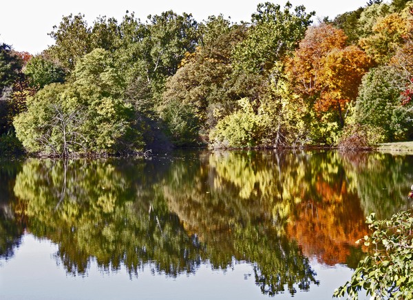 LAKE MARMO REFLECTION