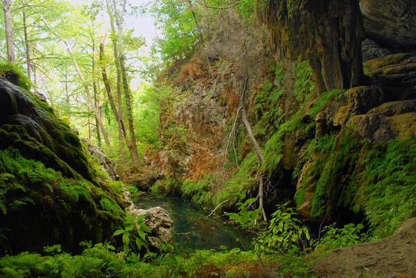 West Cave Preserve