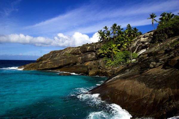 Island Bliss